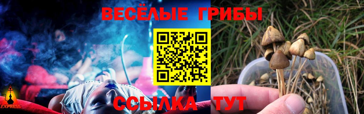 Галлюциногенные грибы GOLDEN TEACHER Кстово