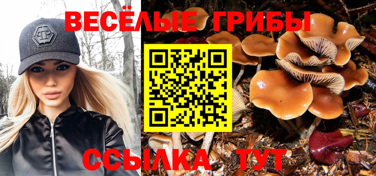 Кстово  Псилоцибиновые грибы Psilocybe  Вход с VPN  Галлюциногенные грибы Psilocybe 